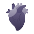 Сердце